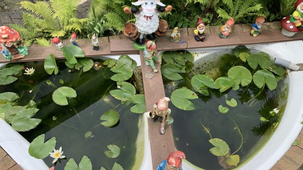 Zweigeteiltes weißes Teichbecken zwischen Steinen, dekoriert mit zahlreichen Figuren. Im Wasser Seerosen. Hinter dem Teich wachsen Farne.