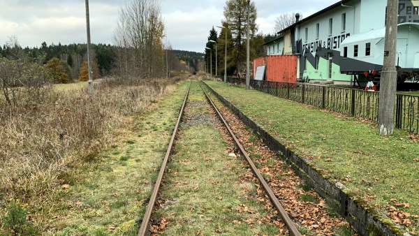 Grasbewachsene Schienen an Haltepunkt mit grasbewachsenem Bahnsteig vor blauem Haus (rechts). Links Büsche. Entlang der Strecke Strom- und Lichtmasten.